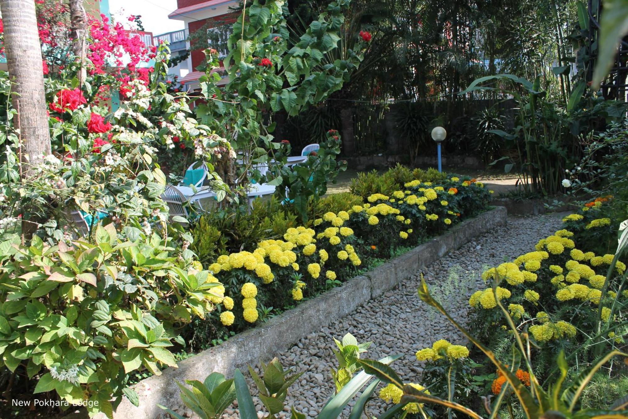 New Pokhara Lodge - Pokhara Lakeside Экстерьер фото
